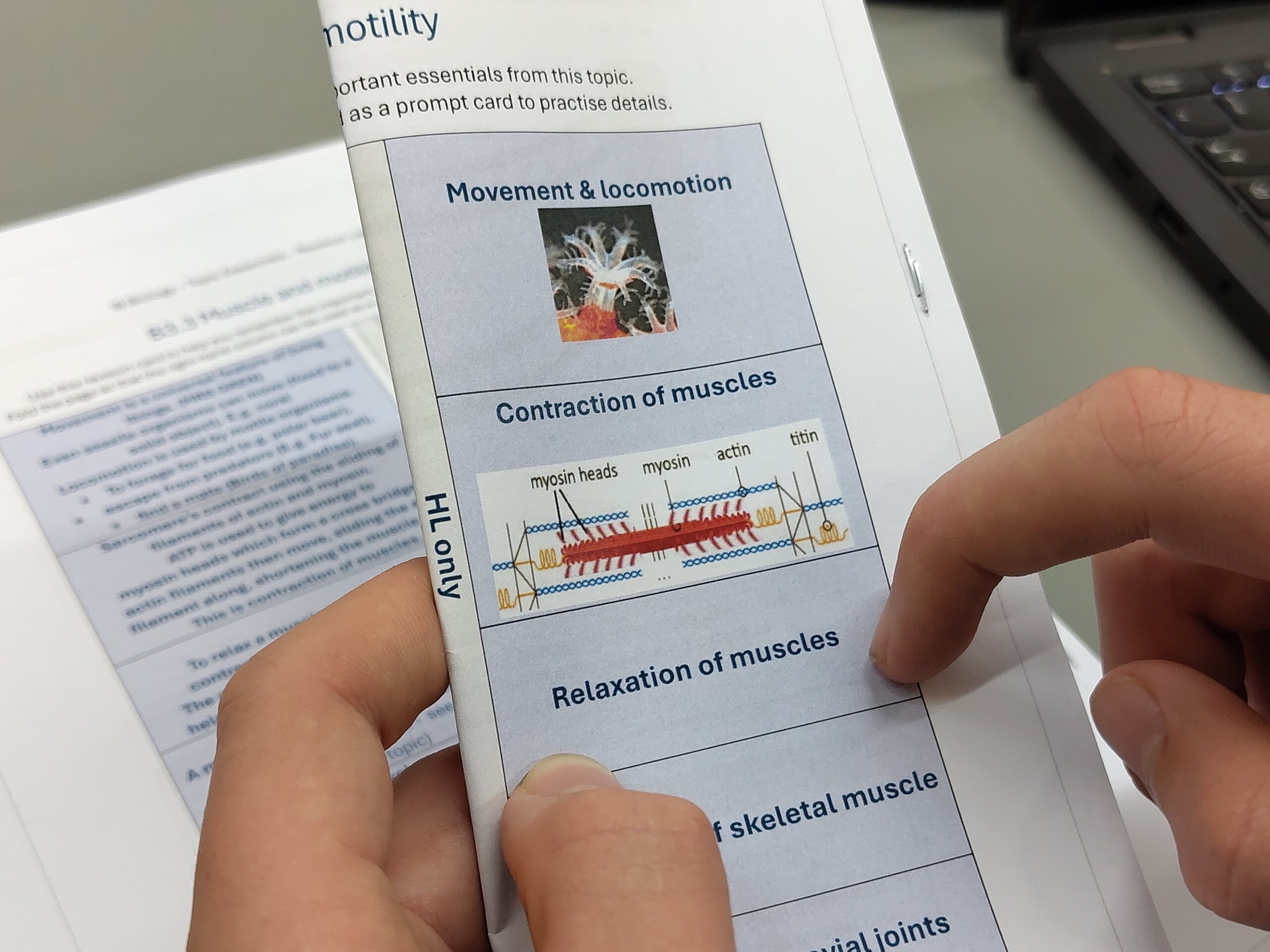 40 revision sheets "5 essentials"
