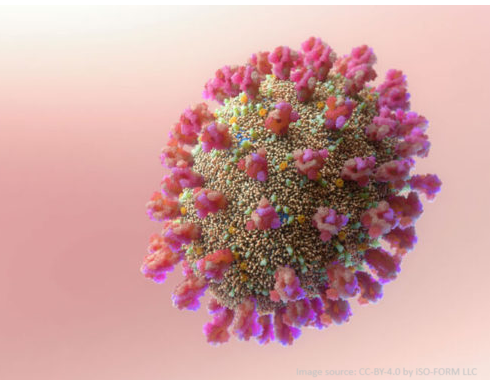 C3.2 Defence against disease - reading task