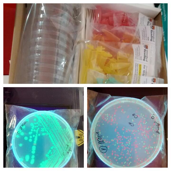 How to do better DNA experiments