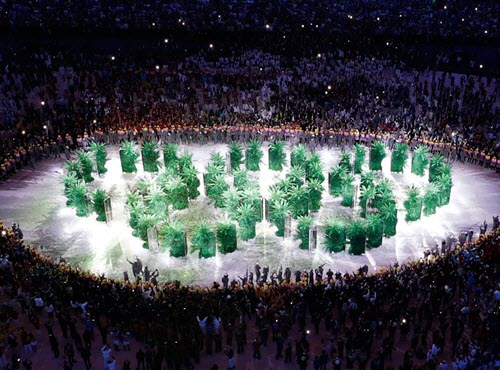 Planting an olympic forest in Rio 2016