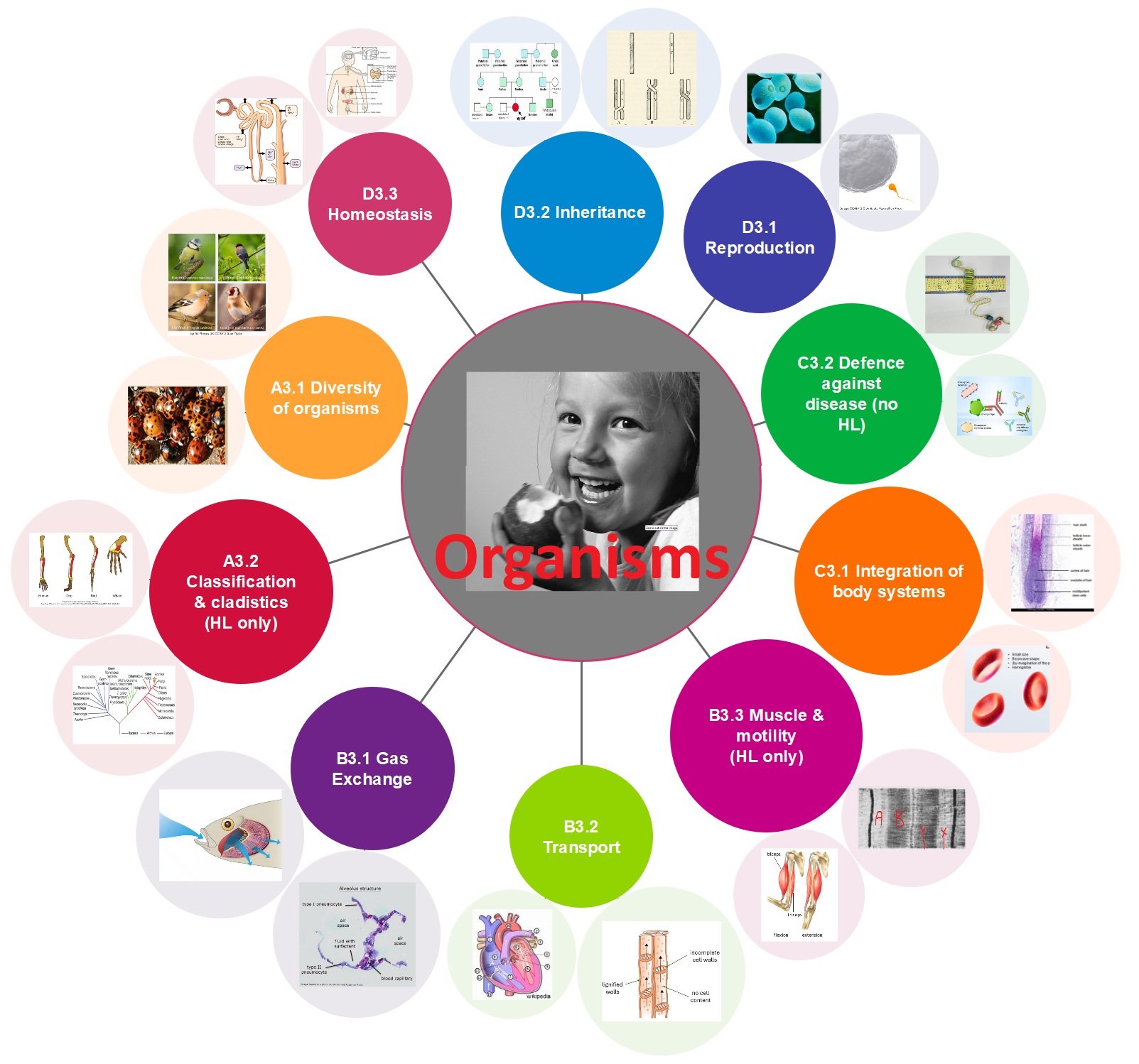 Organisms level resources (A3,B3,C3,D3)