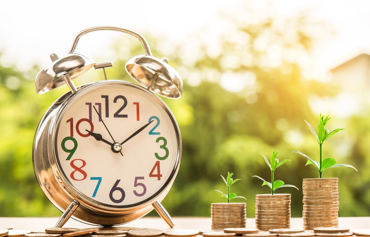 Net present value (NPV) (HL)