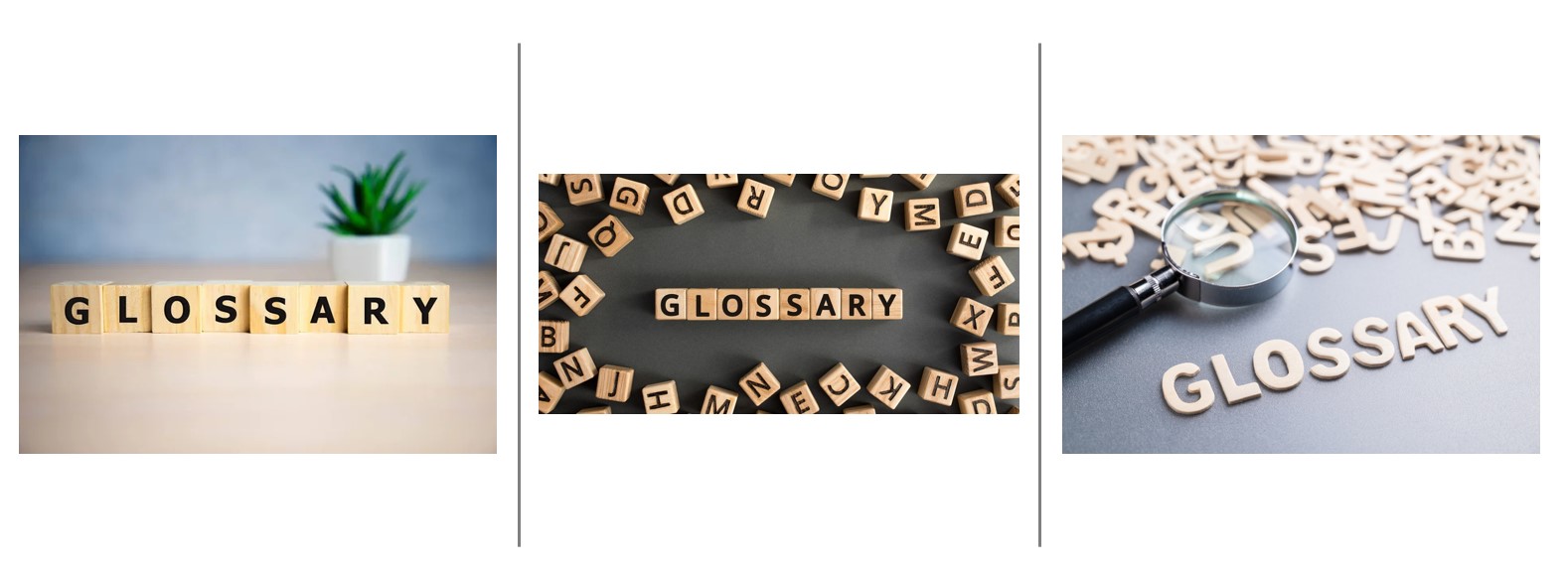Glossary of key terms