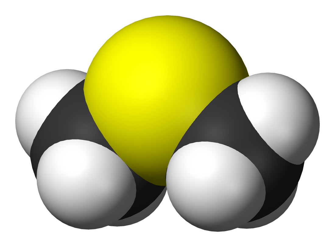 Dimethyl sulfide & IB chemistry