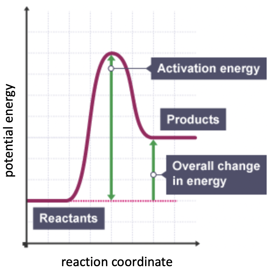 R1.1 Measuring energy changes