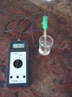 Titrations with a pH meter
