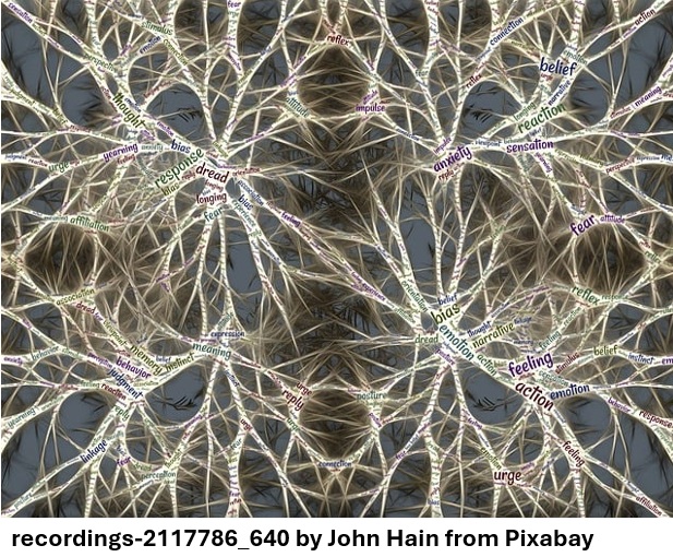 3.6C Uses of artificial neural networks