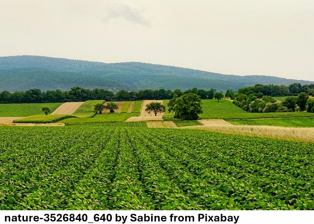 4.3D Agriculture