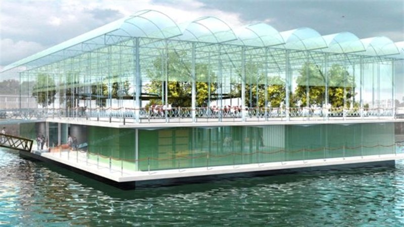 A possible answer to feeding the world's growing population?