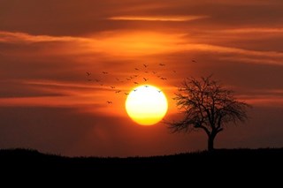 Unit 2.1: Demand 