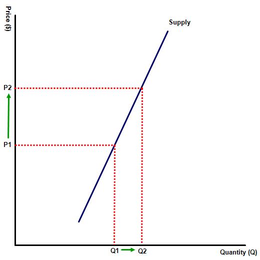 Price elasticity of supply revision questions 
