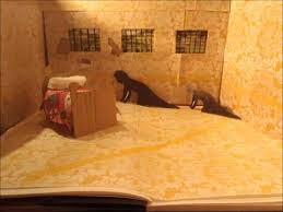 Mental Health and Wellbeing: 2. The Yellow Wallpaper