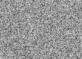 HL Essay: Exemplar 2 (White Noise)