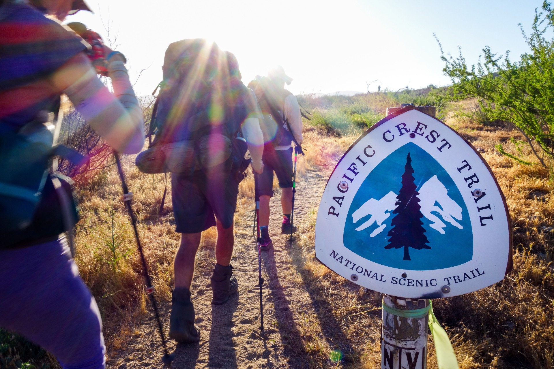 Exploring the Natural World – An Opinion Columnist’s Body of Work