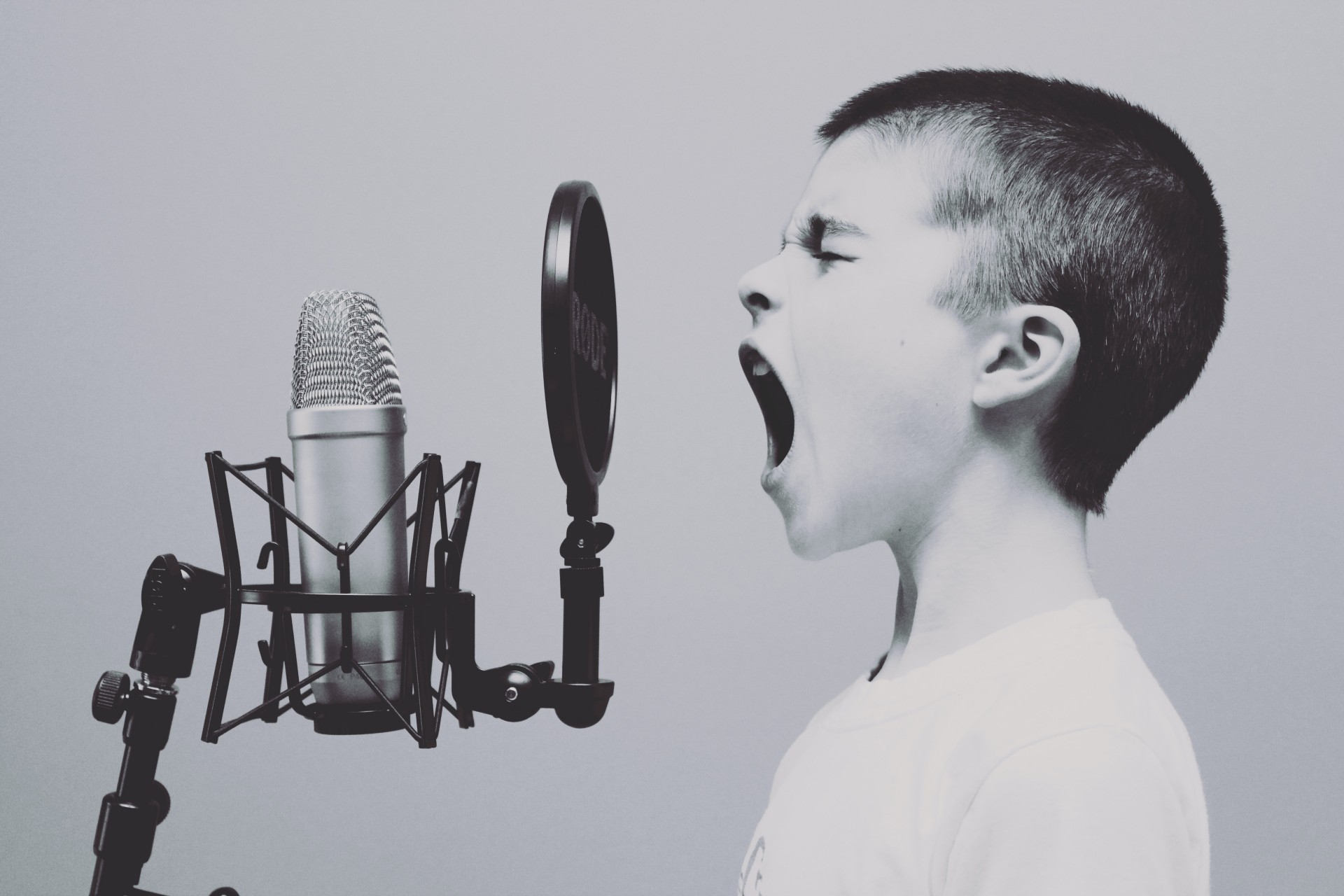Introducing the Individual Oral to Students (a PowerPoint)