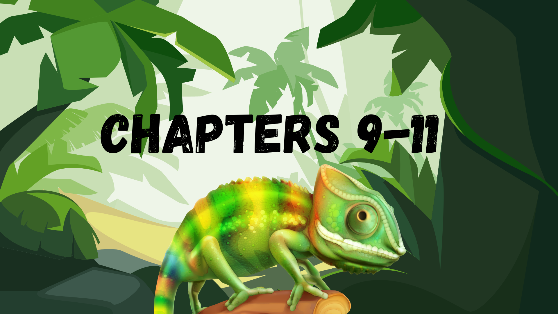 Born a Crime Chapters 9-11