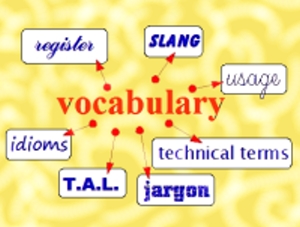 Vocabulary & concepts