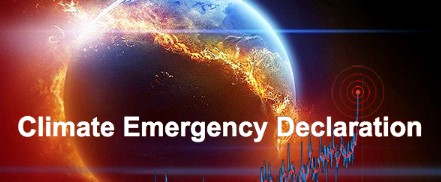 Climate emergency language
