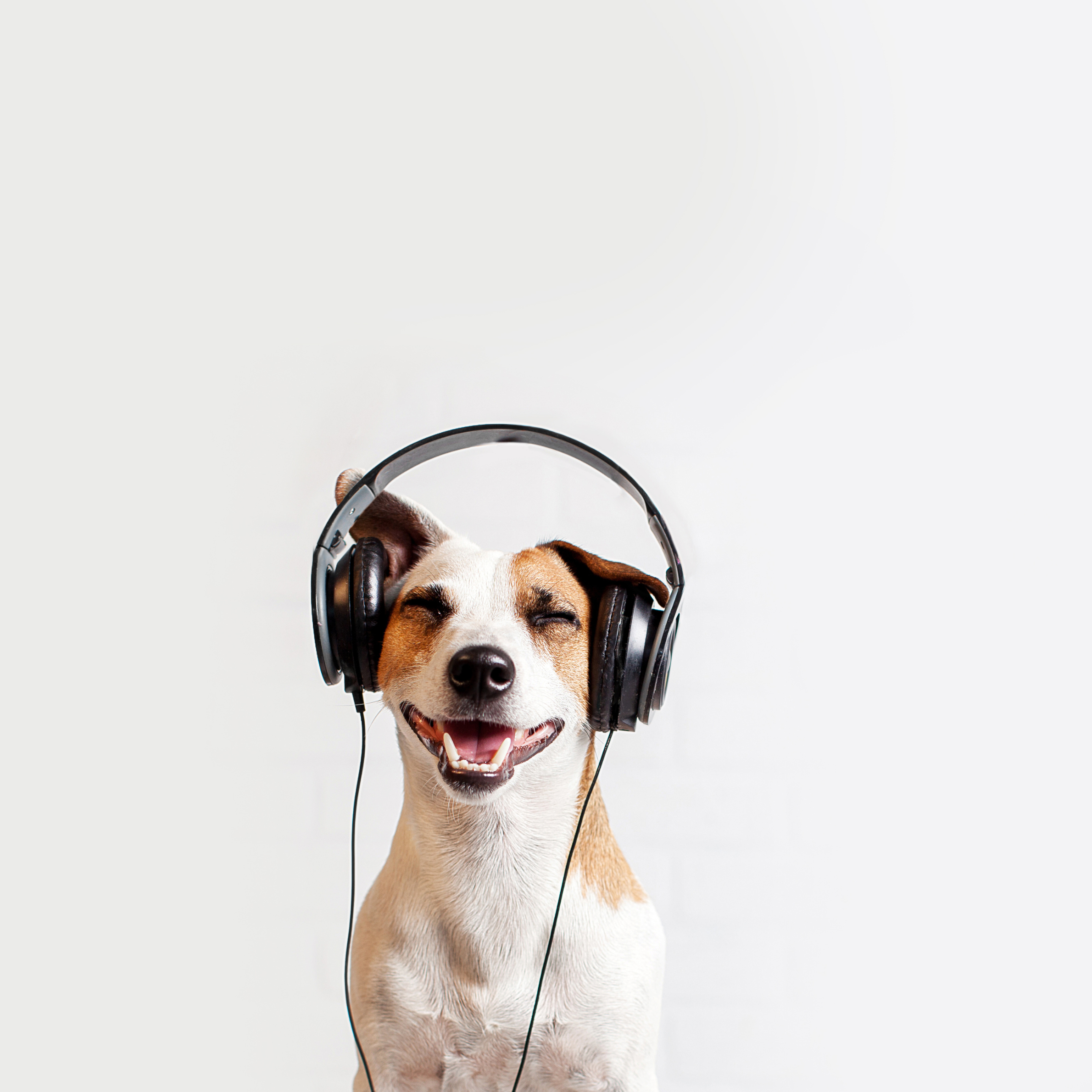 Paper 2 Listening: Bilingual Benefits