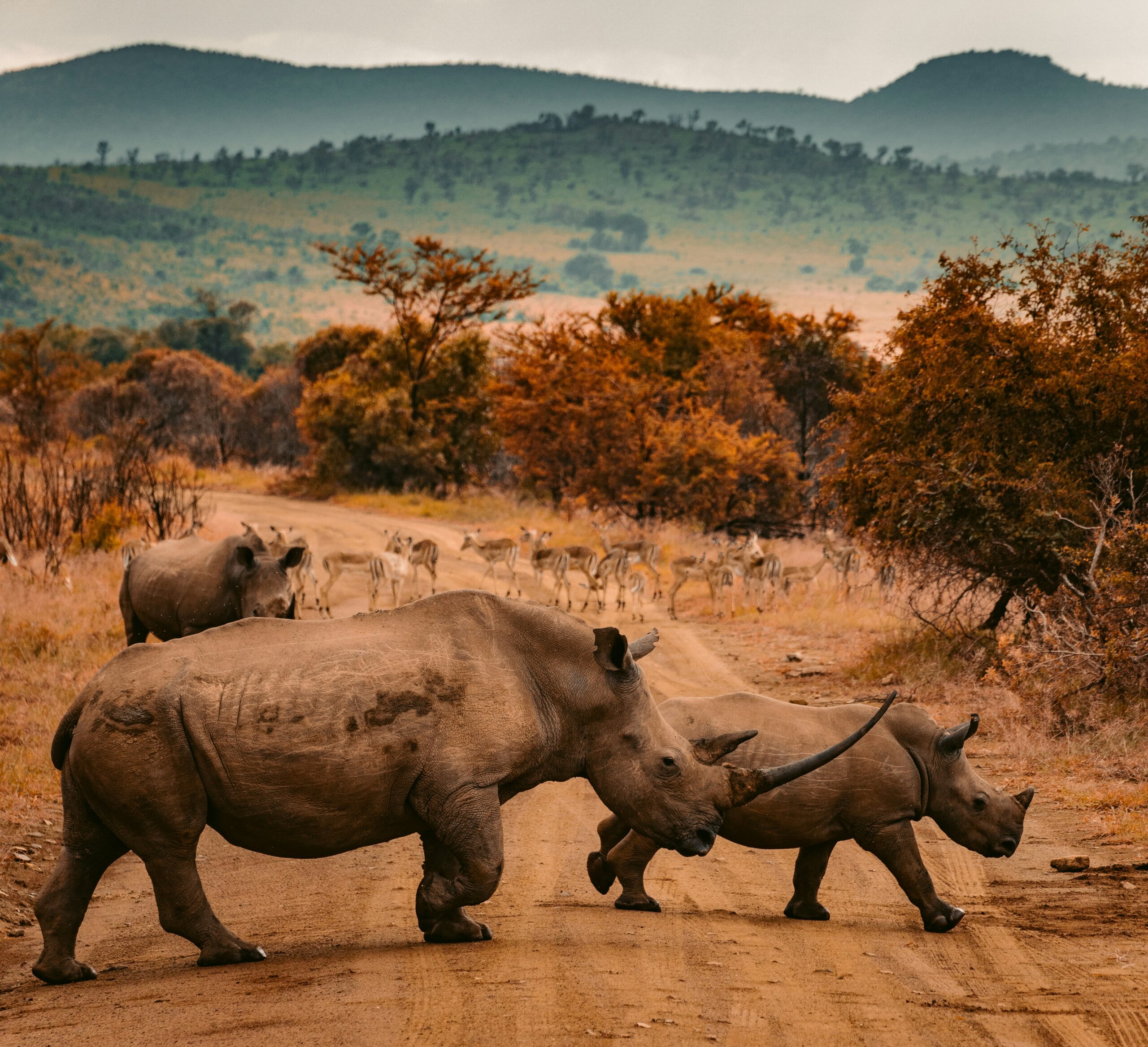 South Africa Holidays