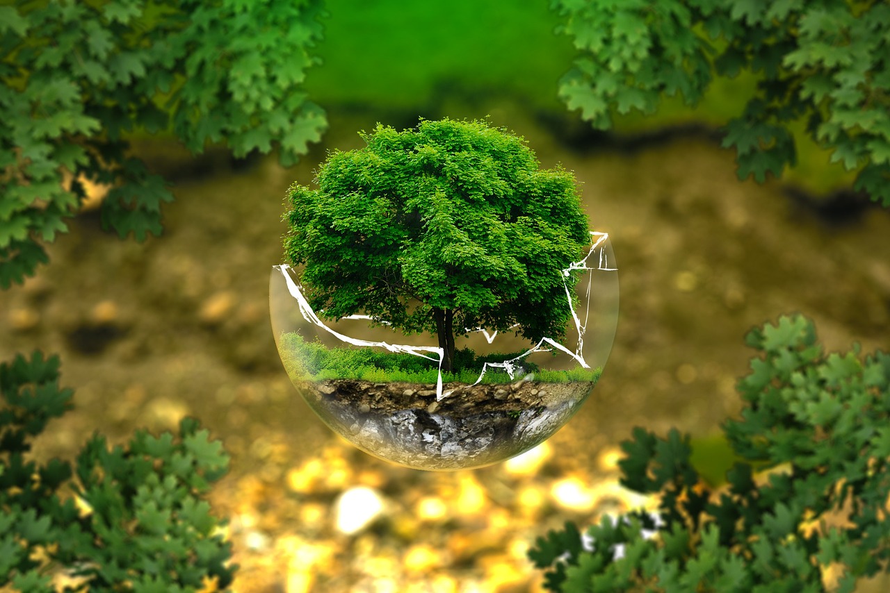 5.1 The Environment