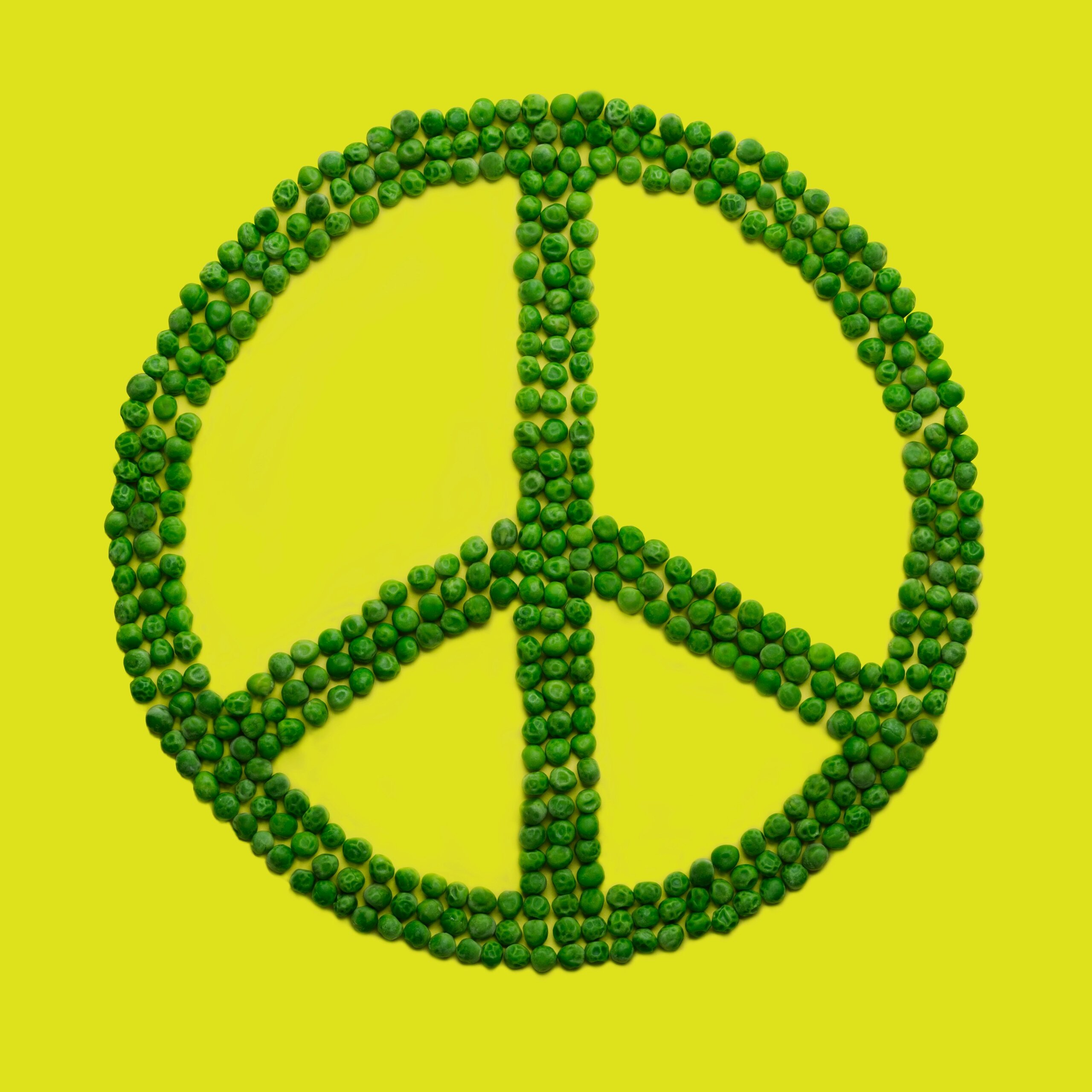 5.3 Peace & Conflict