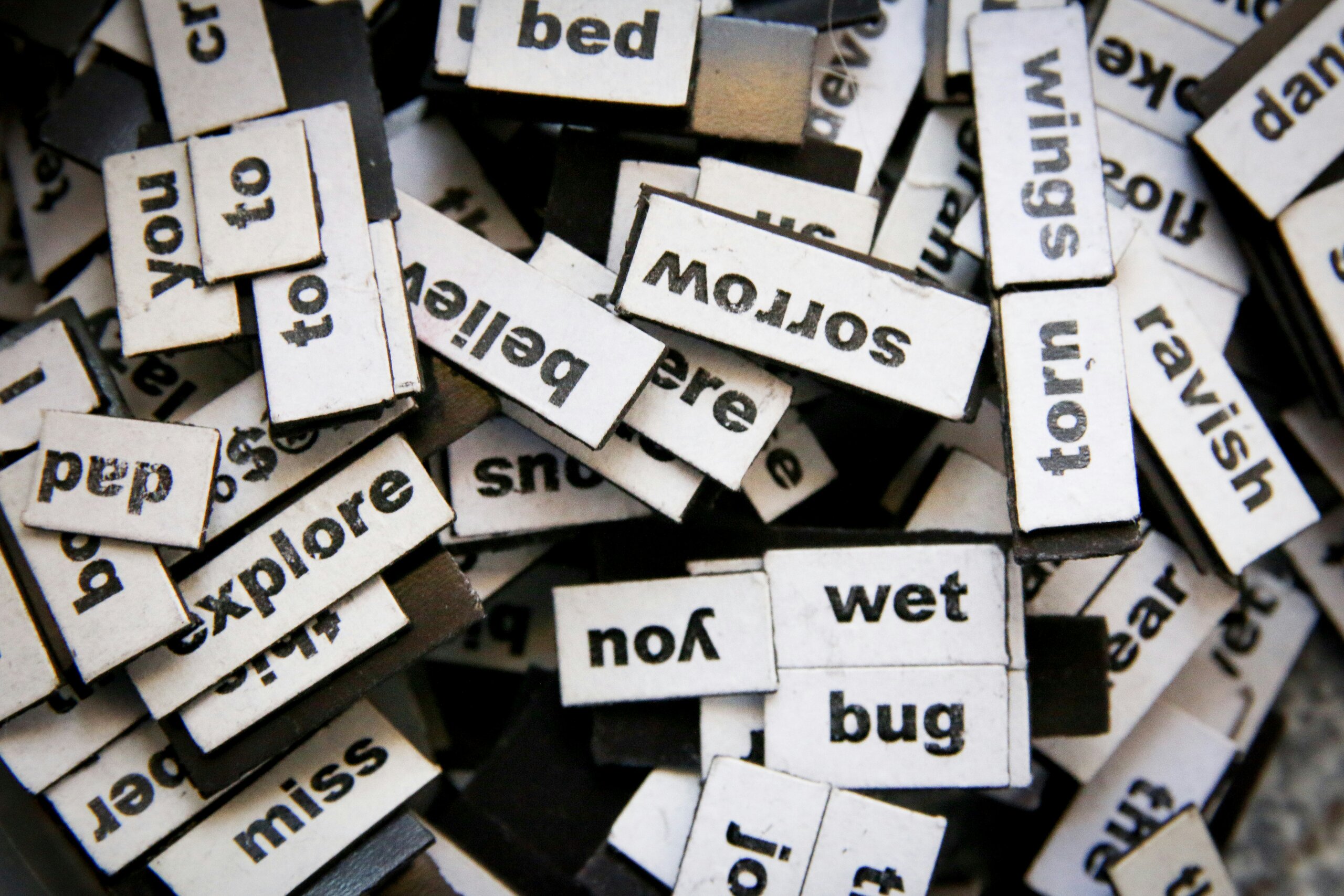 Vocabulary