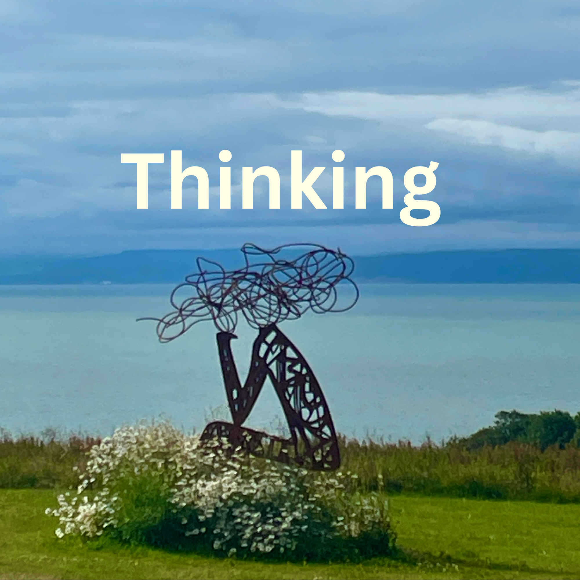 Thinking Skills