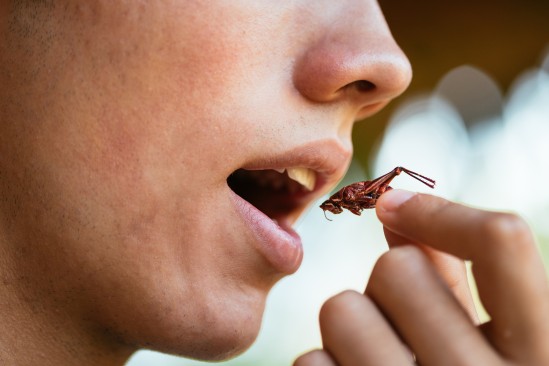 Eating insects