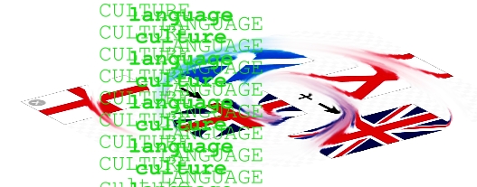 'target culture(s)'?