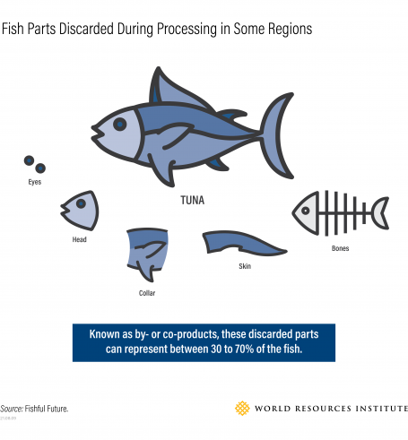 4.3: How to reduce food waste from fish