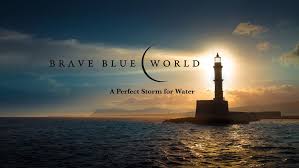 4.2 Brave Blue world activity