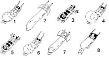 HL 2.1 Caminalcules and Evolutionary Relationships