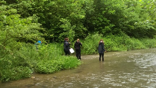 Sampling Strategies and Measurements - "Where and How Many?"
