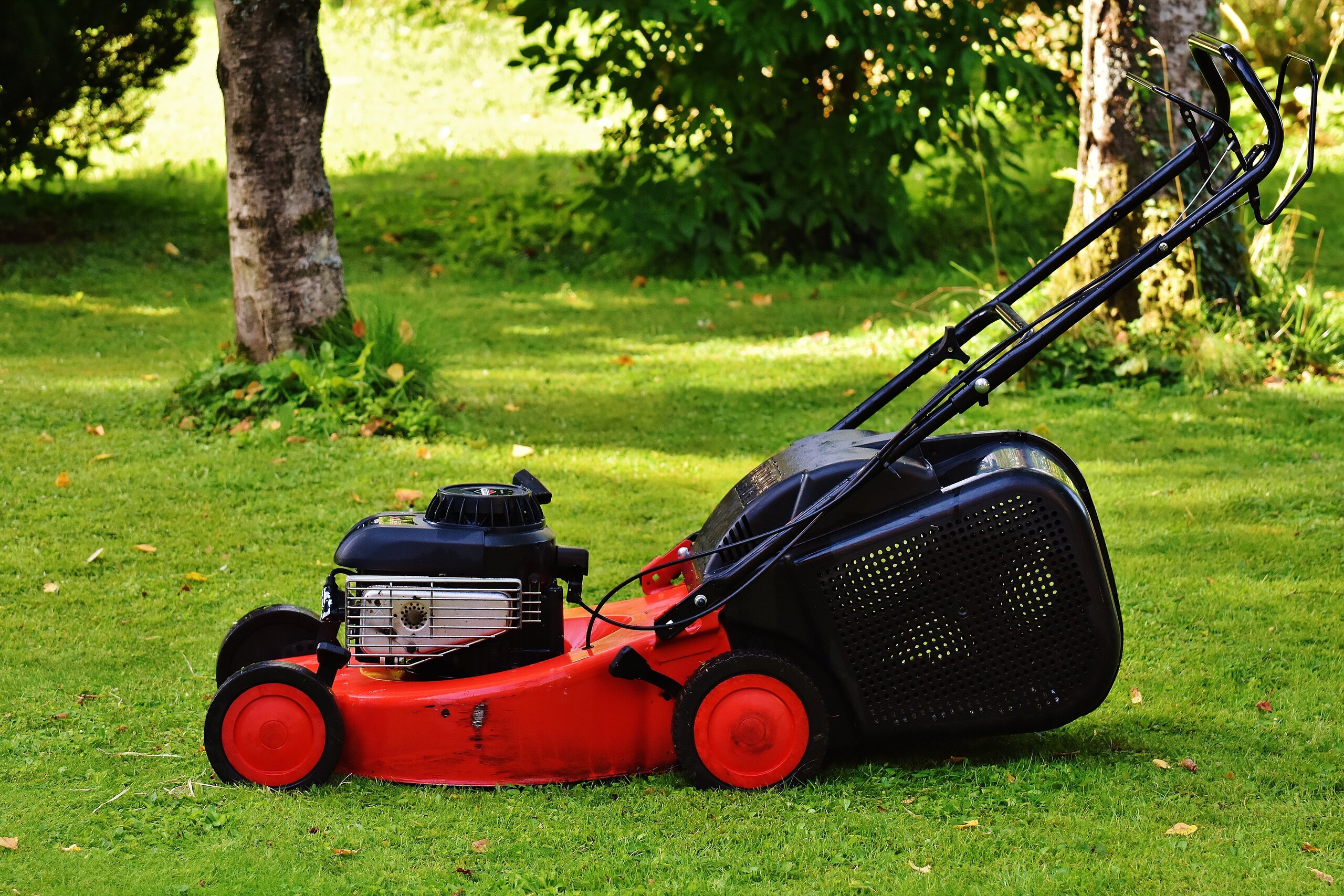 Data activity - Topic 3.3 - Reducing lawn mowing - Answers