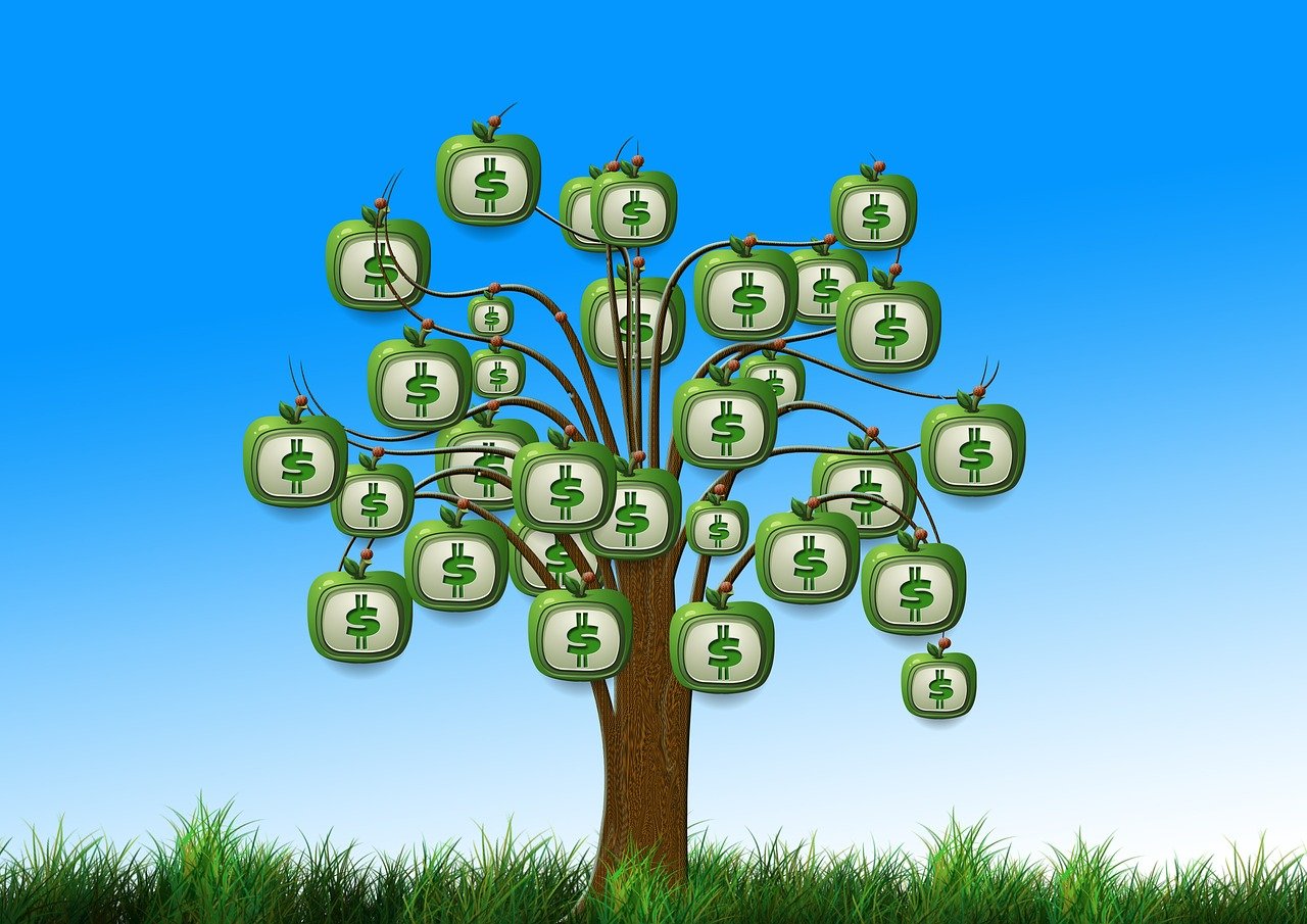 Data Activity - Data Skills - HL Environmental Economics