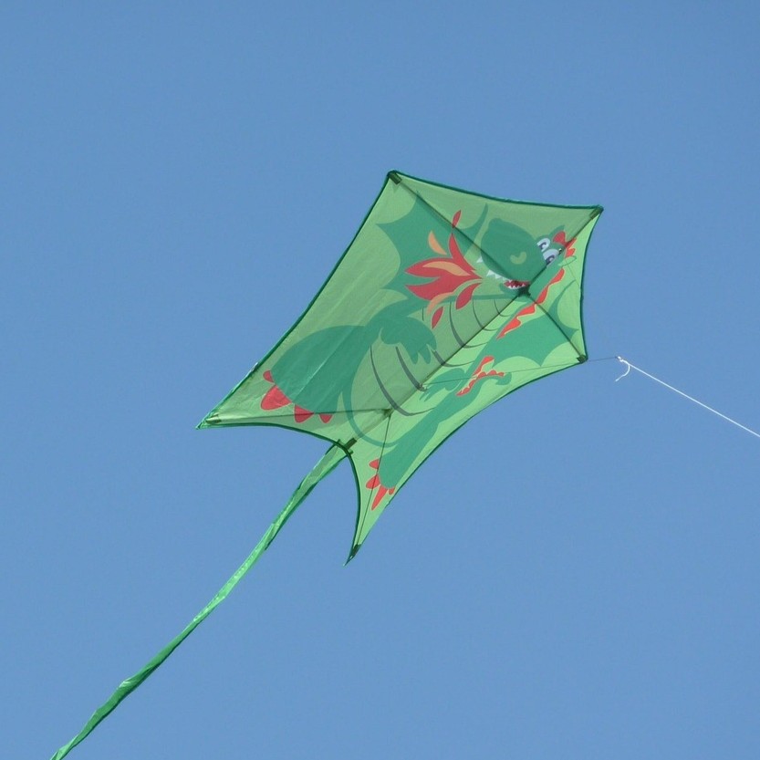 Data Activity - Kite diagram