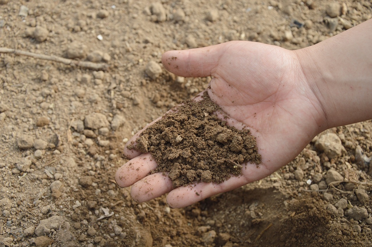 Stats Activity - Topic 5.1 - Soil carbon (Answers)