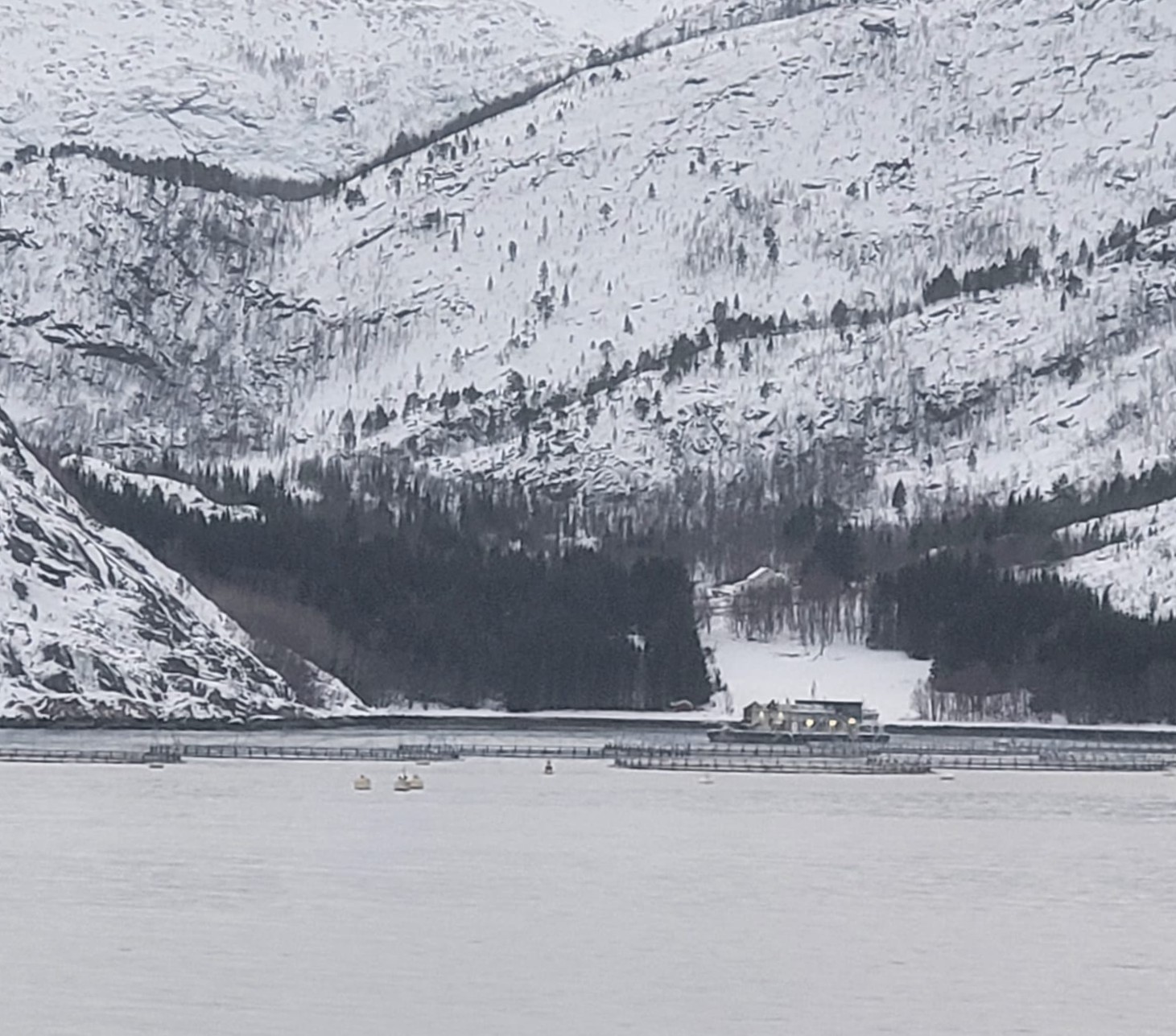 Data Activity - Topic 4.3 - Fishing in Norway