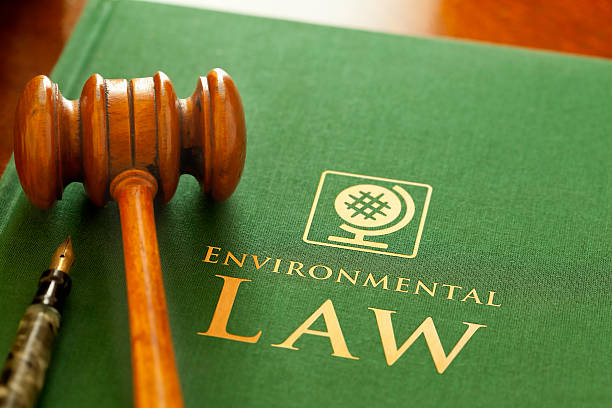 HL.a.5: Environmental constitutionalism