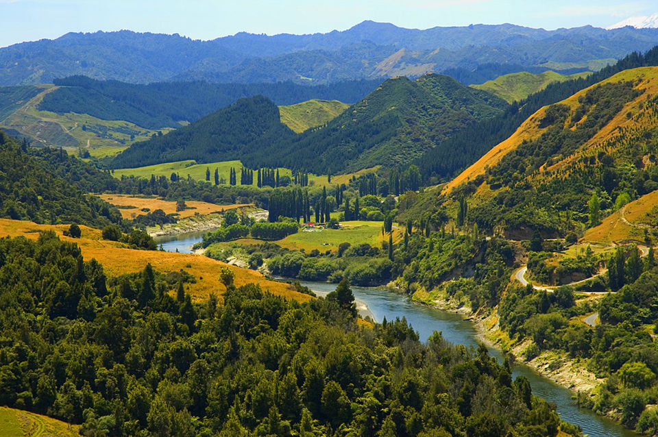 Answers: Biorights of Rivers