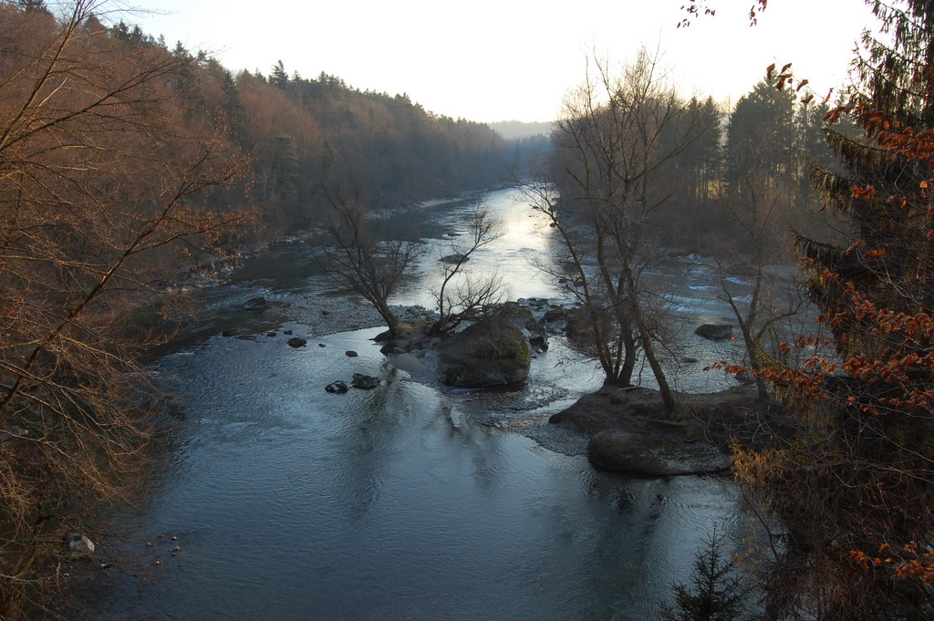 Example IA: Survey - Rights of Nature
