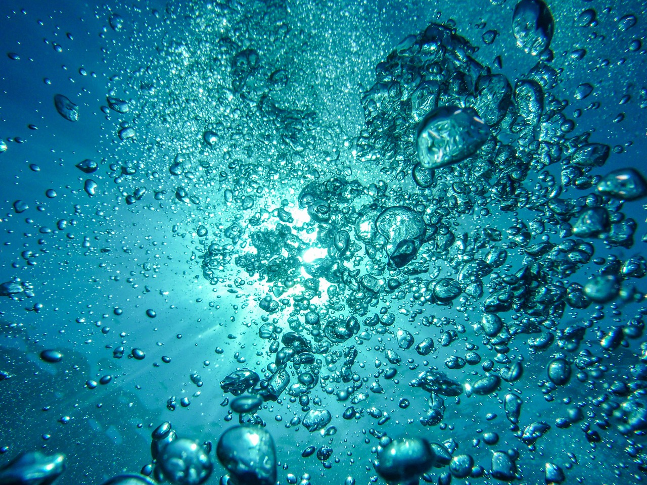 Water Temperature and Dissolved Oxygen
