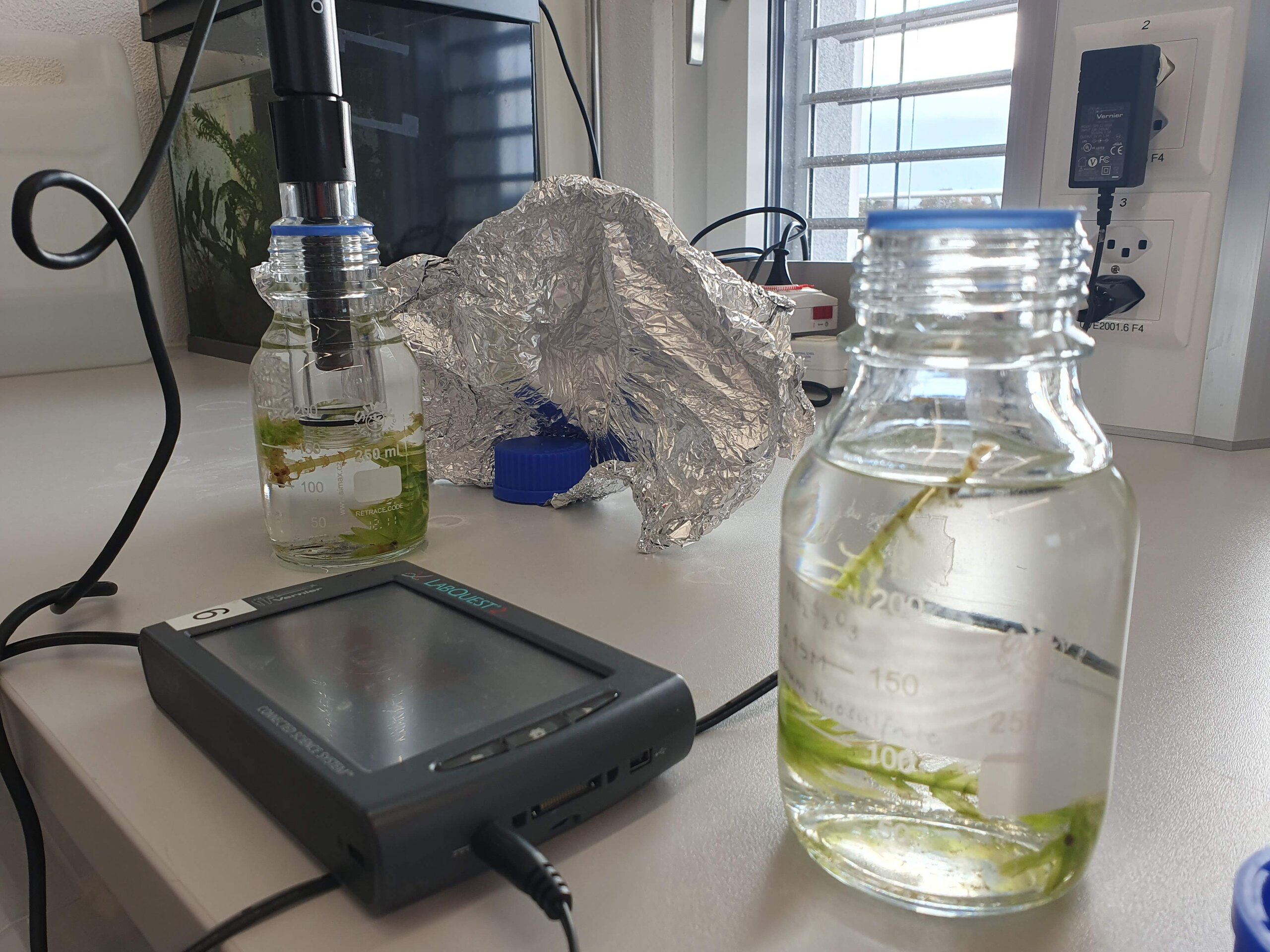 4.4 Biological Oxygen Demand
