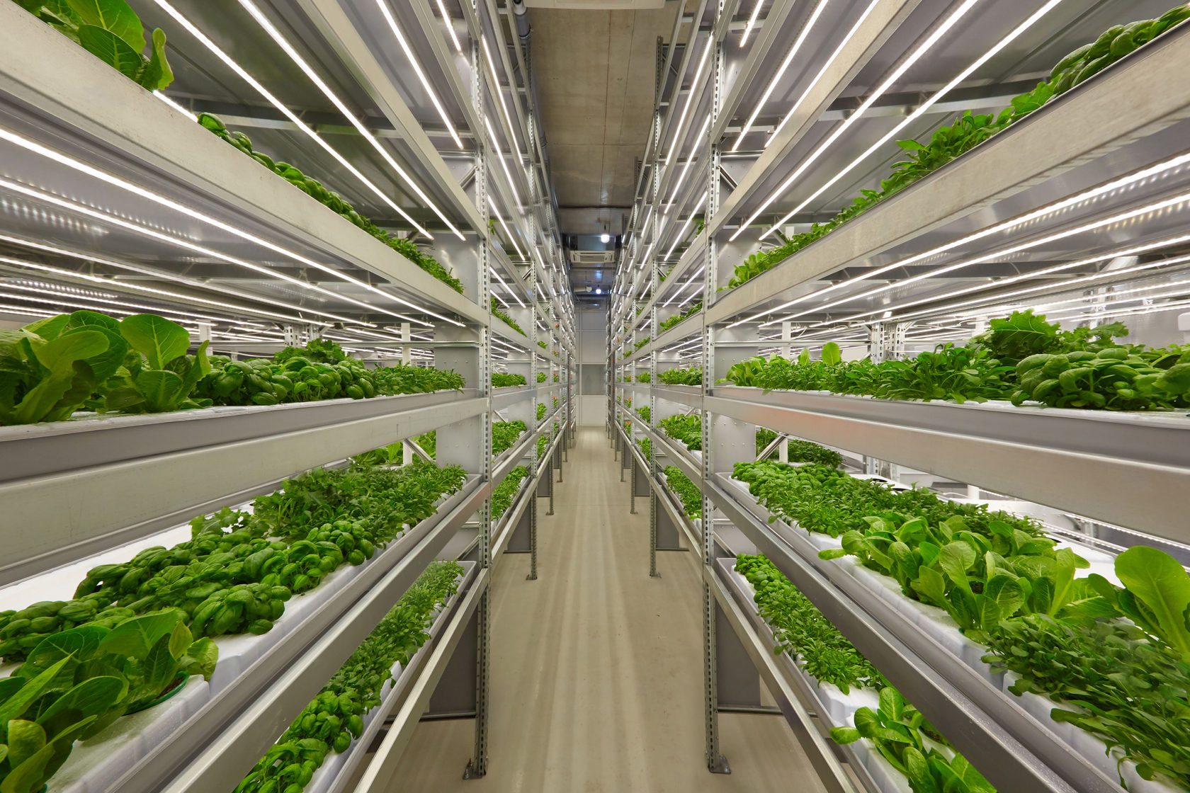 5.2 HL Technological Solutions to Food Production