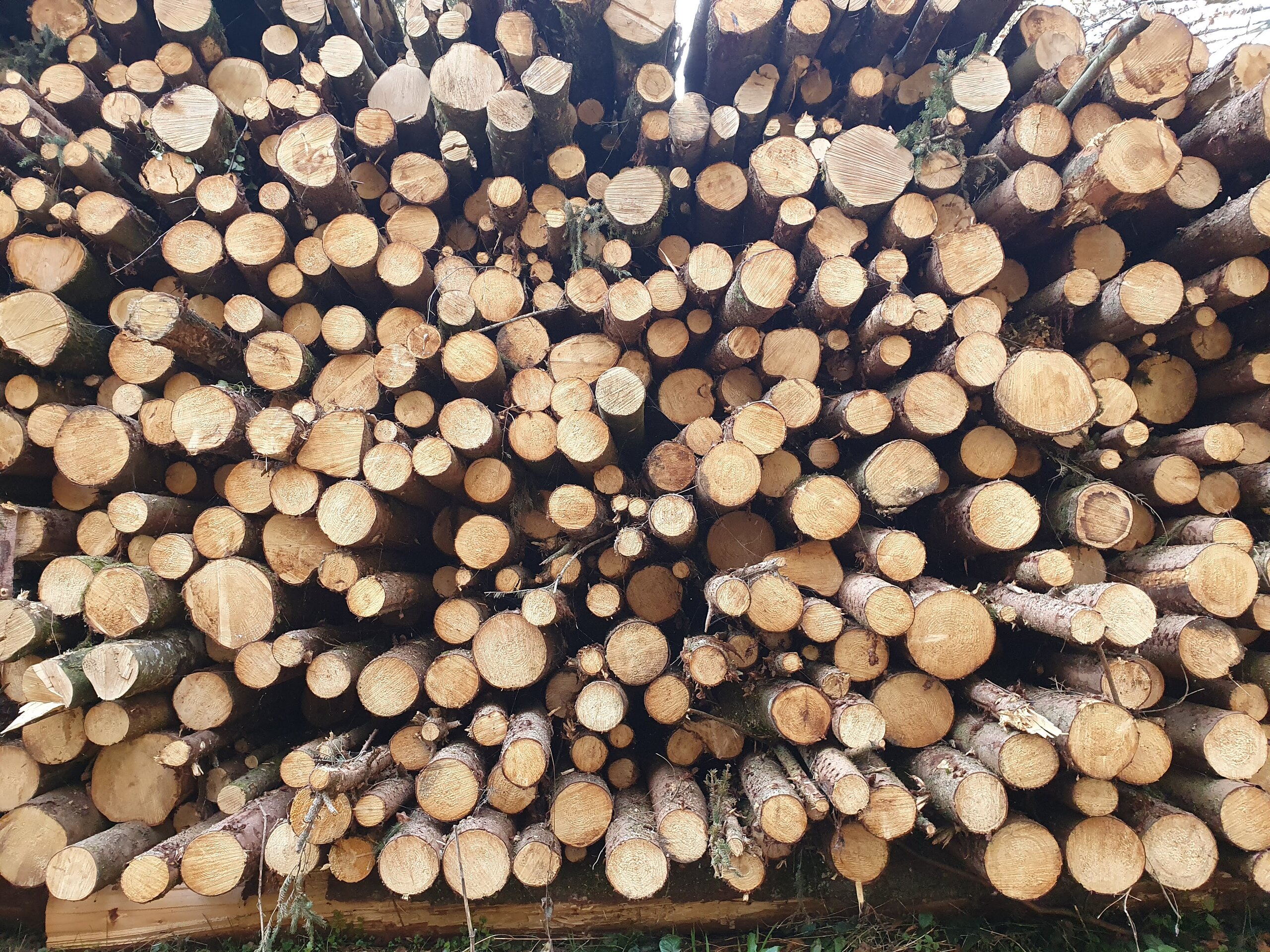 7.1 Natural Resources - Uses and Management Activities