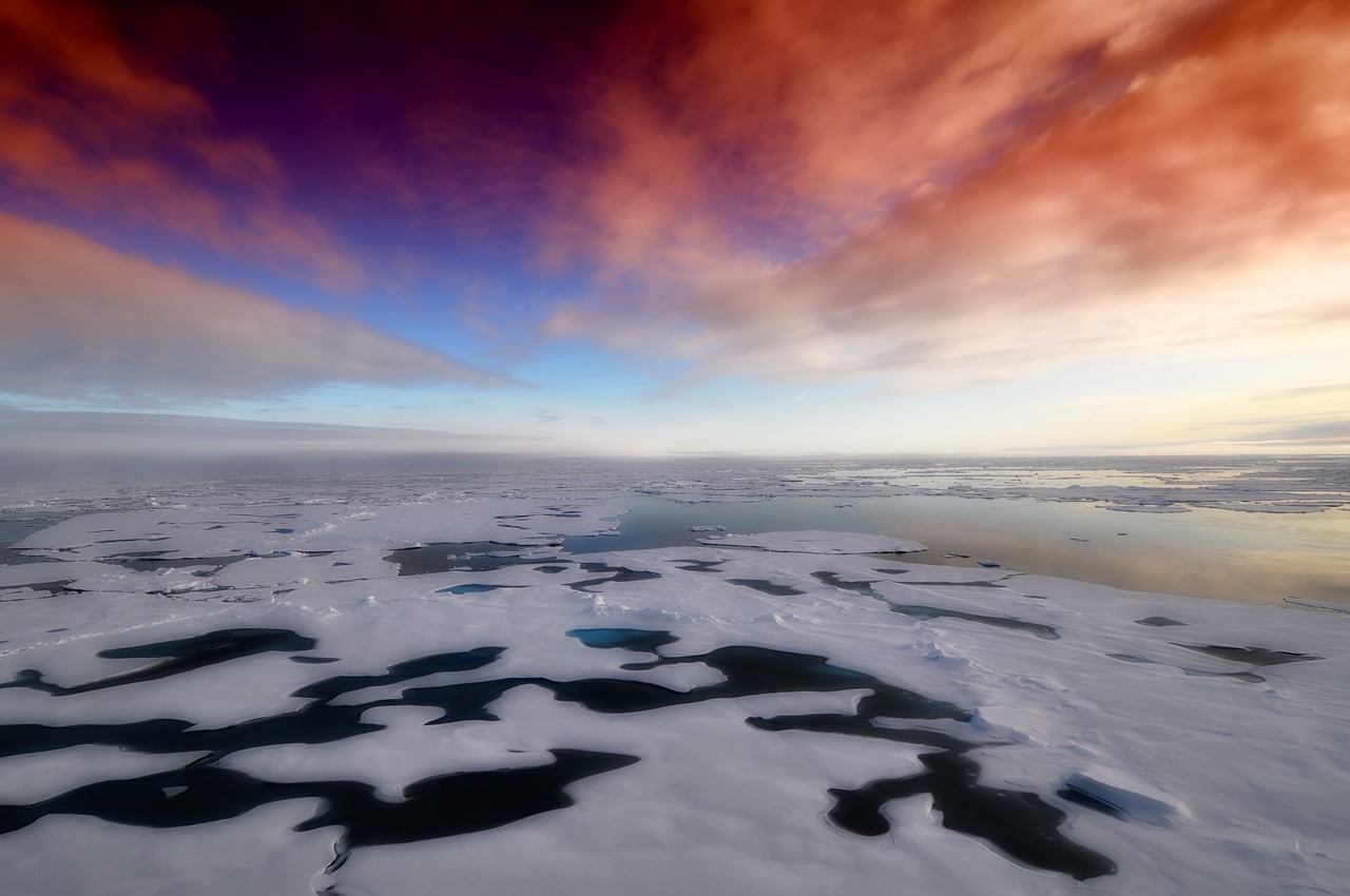 6.2 Climate Change Impacts on Ecosystems