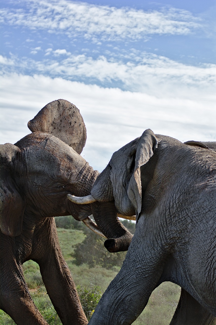3.2 Direct and Indirect threats to Biodiversity