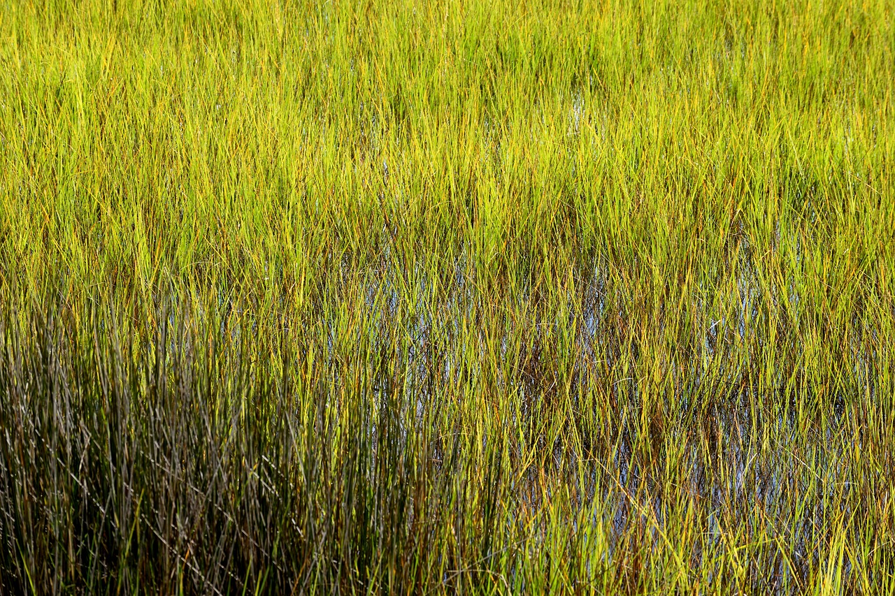 4.4 Management of Eutrophication