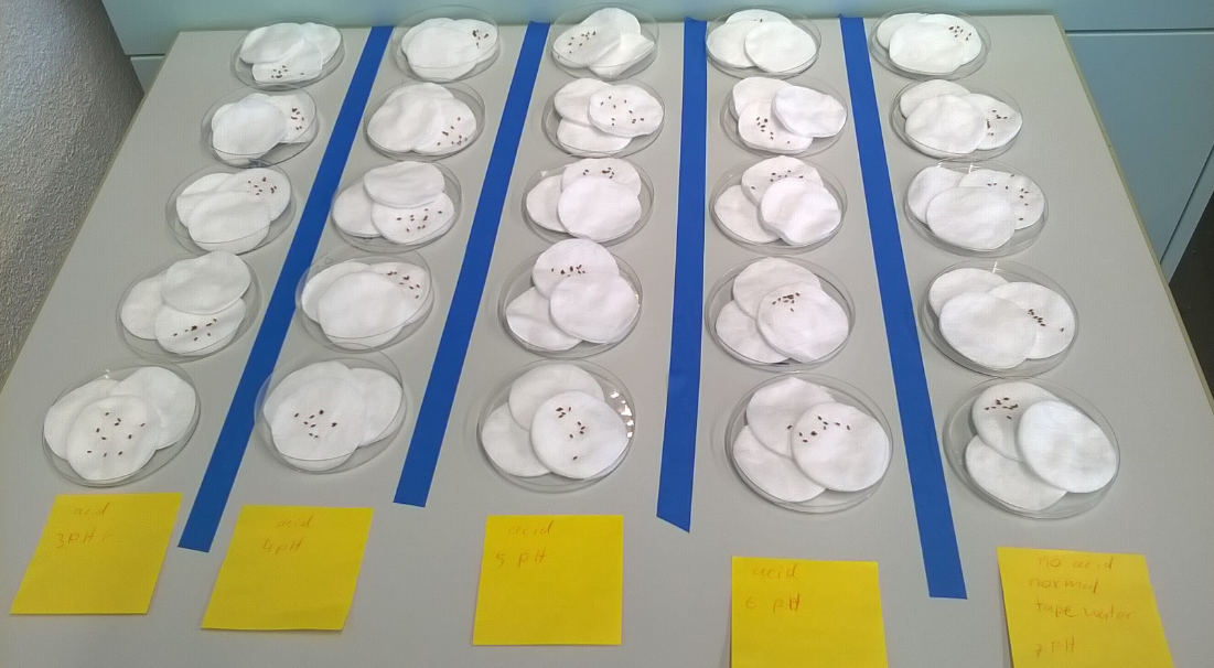 5.1 Investigating Effect of Salinisation on Seed Germination and Growth